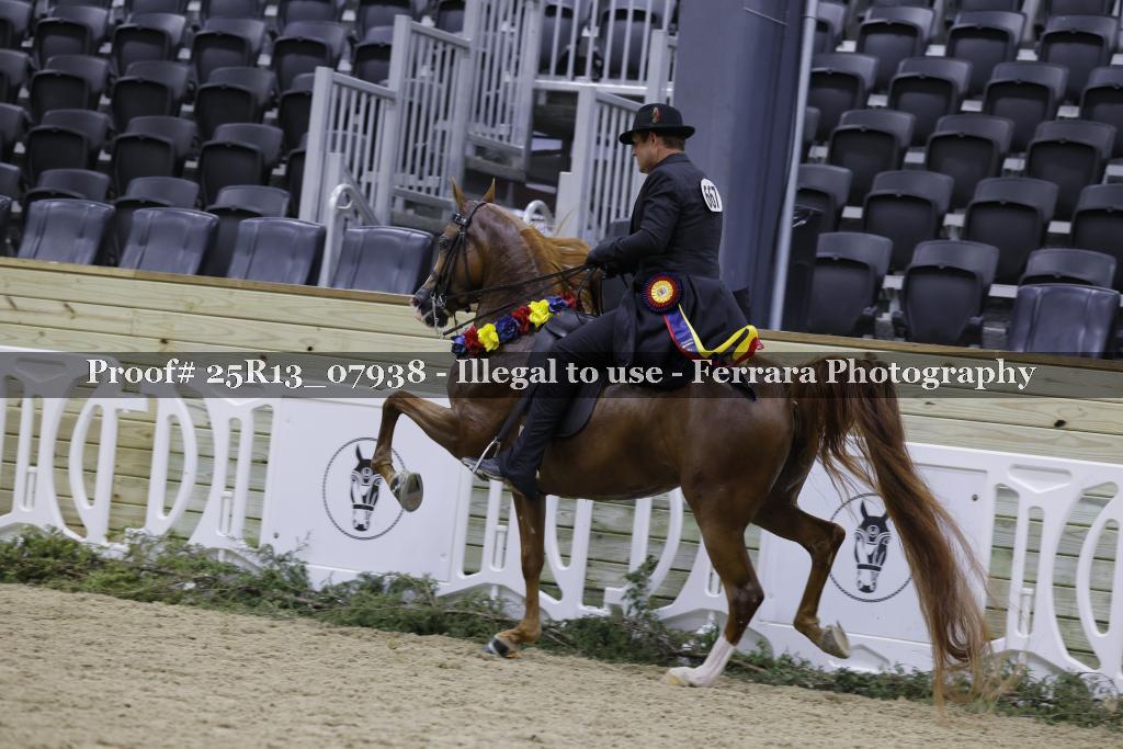 Proof 25R13_07938