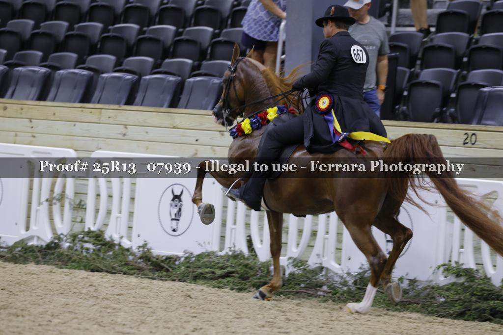 Proof 25R13_07939