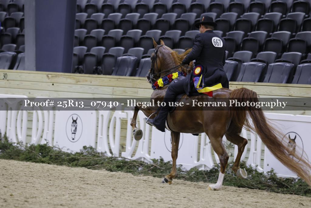 Proof 25R13_07940