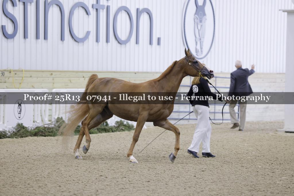 Proof 25R13_07941