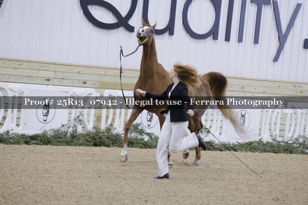 Proof 25R13_07942