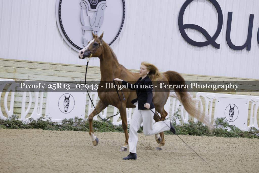 Proof 25R13_07943