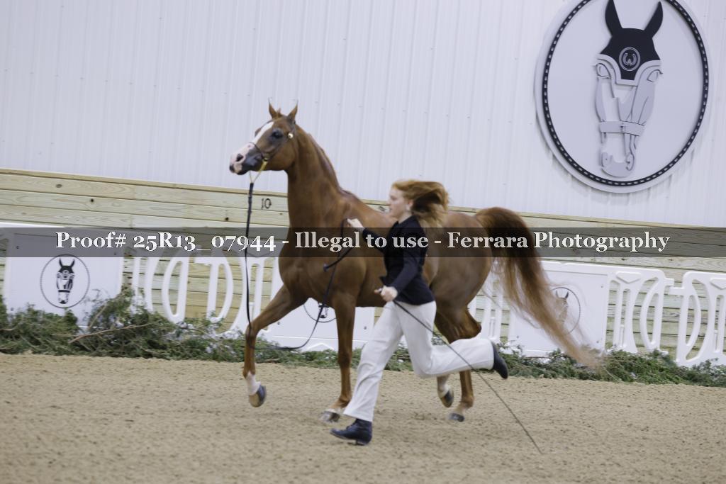 Proof 25R13_07944