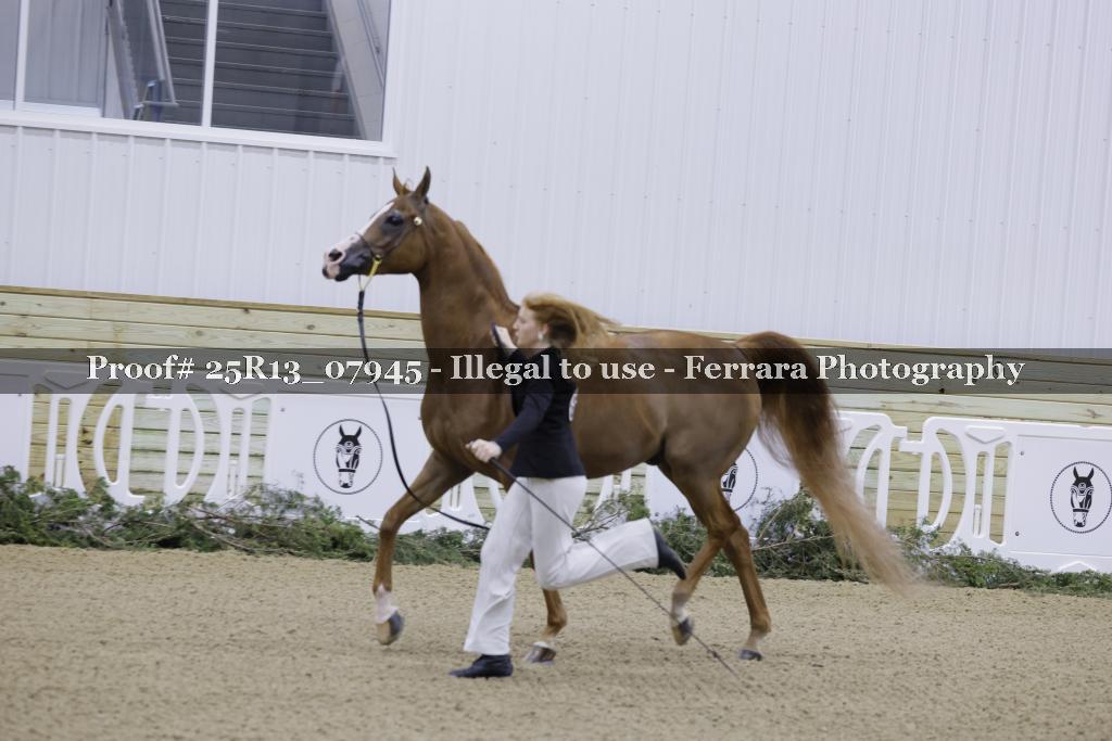 Proof 25R13_07945