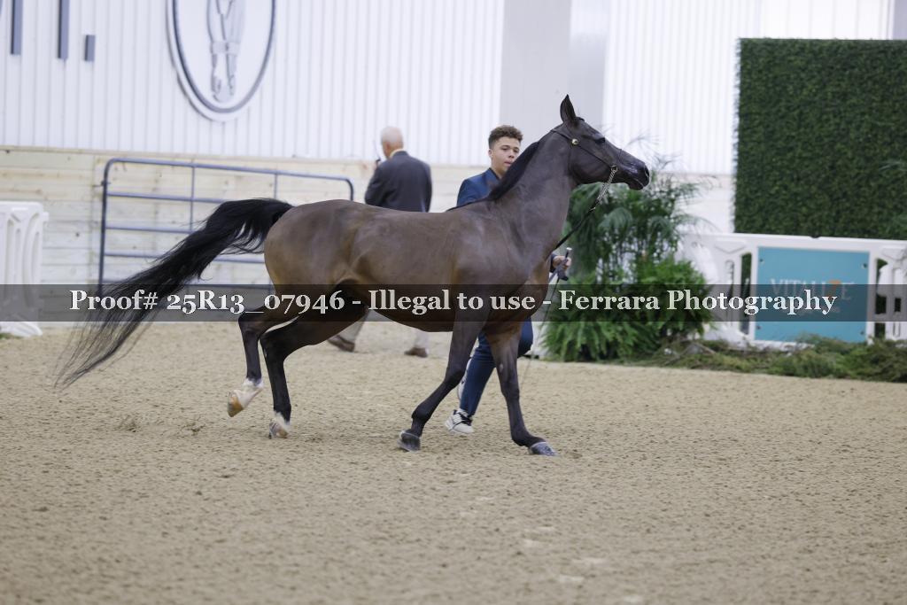 Proof 25R13_07946