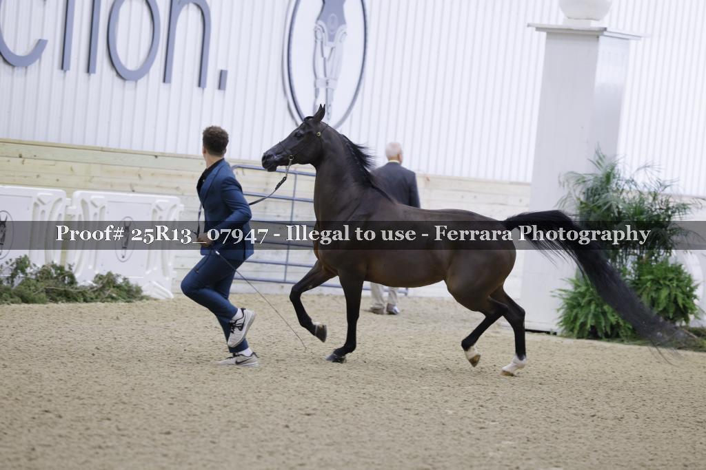 Proof 25R13_07947