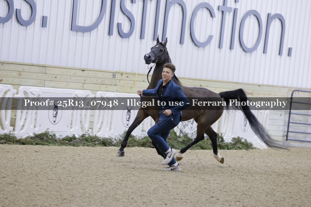 Proof 25R13_07948