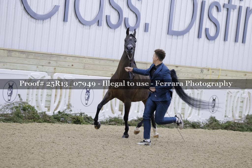 Proof 25R13_07949