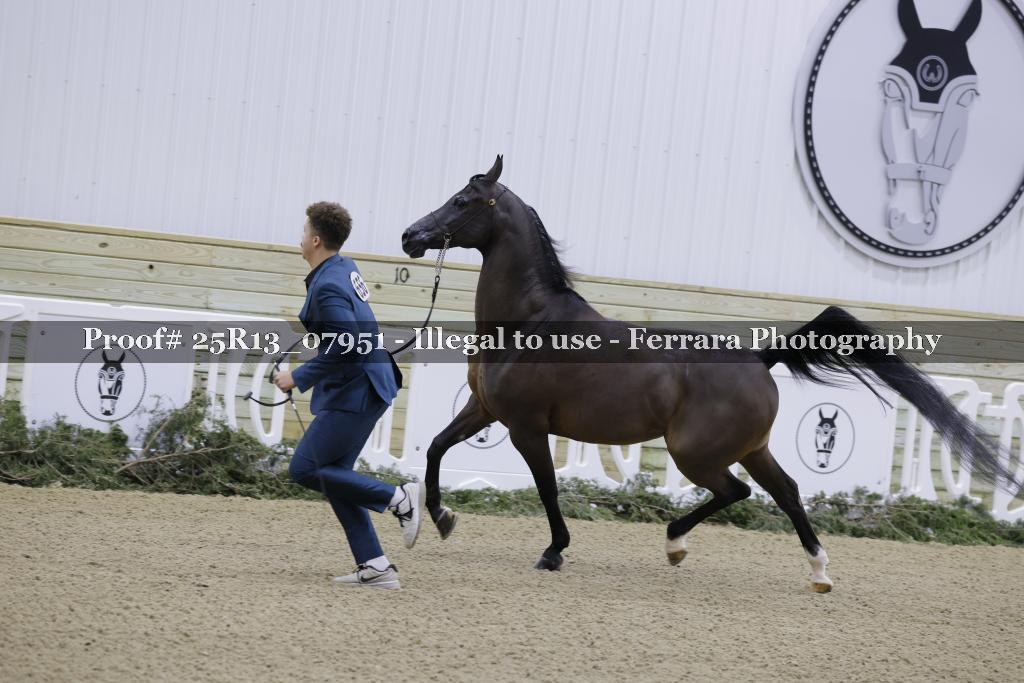Proof 25R13_07951