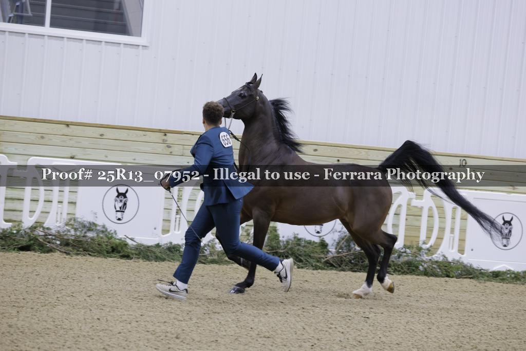 Proof 25R13_07952