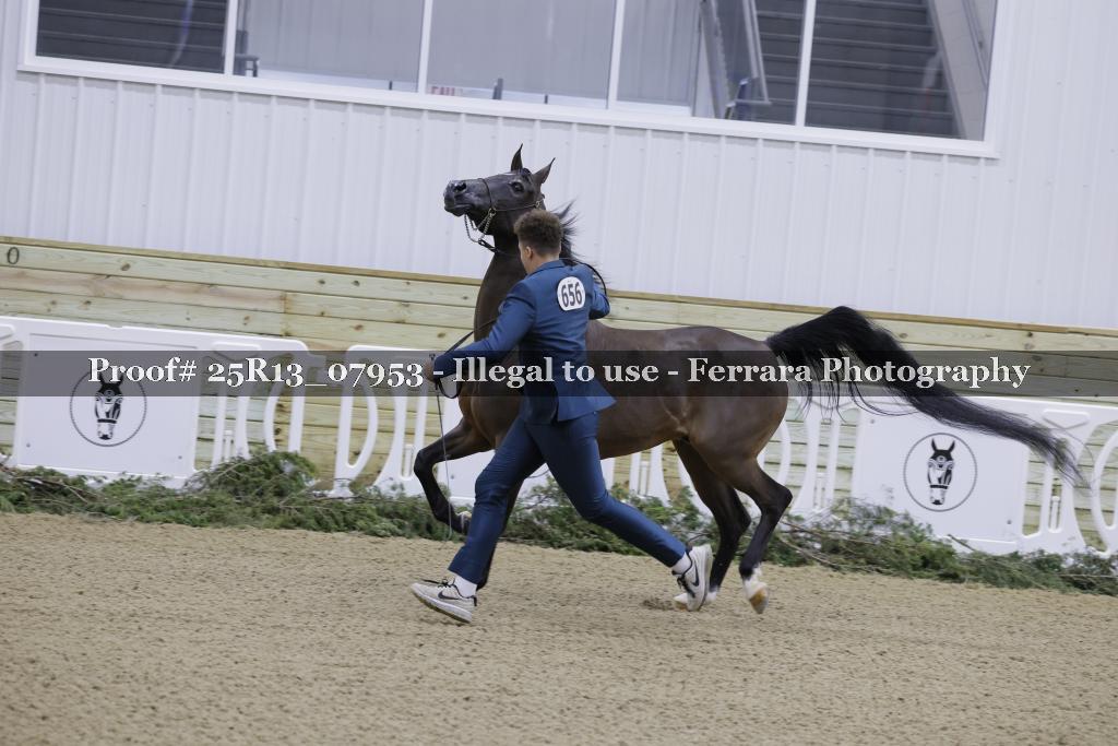 Proof 25R13_07953
