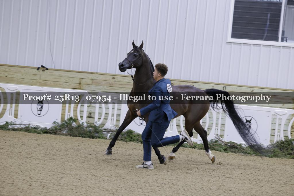 Proof 25R13_07954
