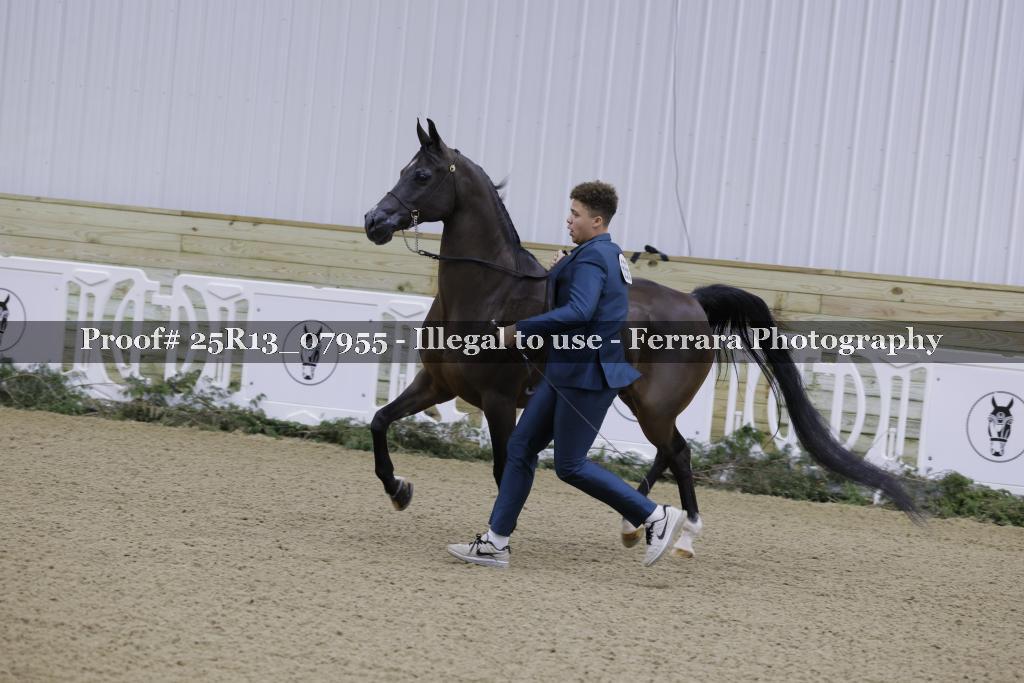 Proof 25R13_07955