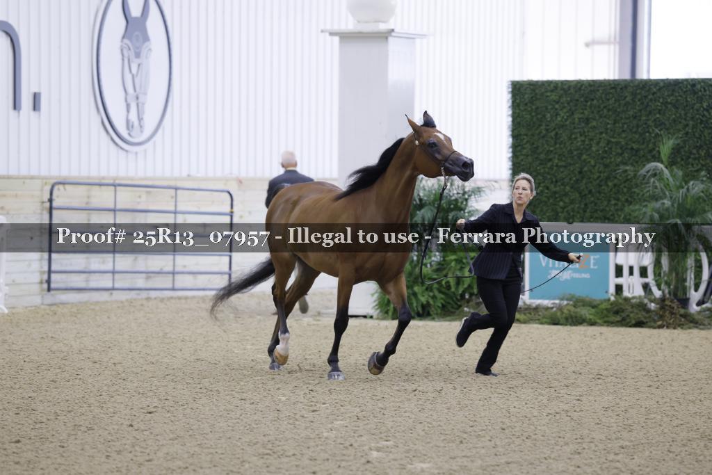 Proof 25R13_07957
