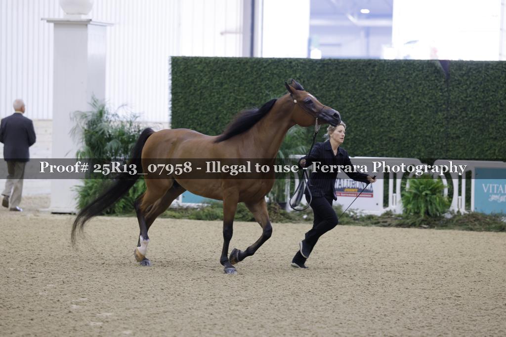 Proof 25R13_07958