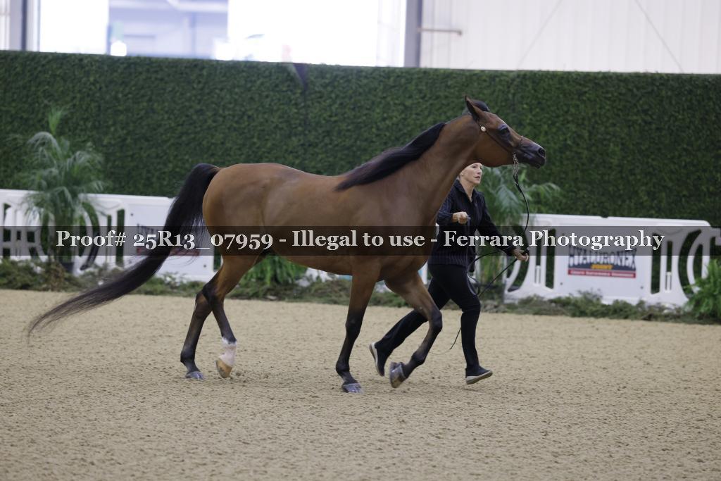 Proof 25R13_07959
