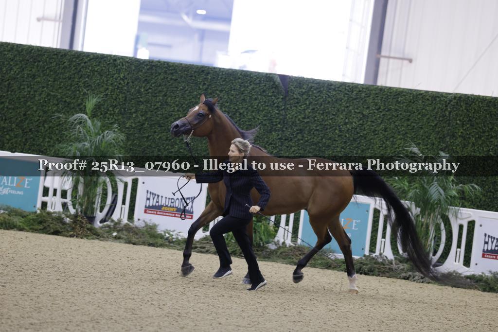 Proof 25R13_07960