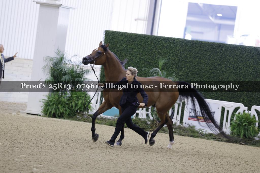 Proof 25R13_07961
