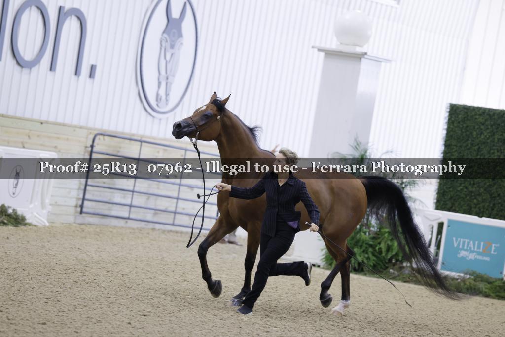 Proof 25R13_07962