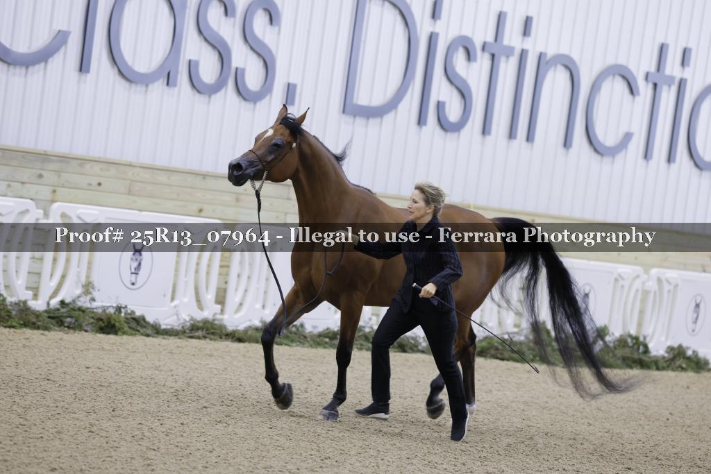 Proof 25R13_07964