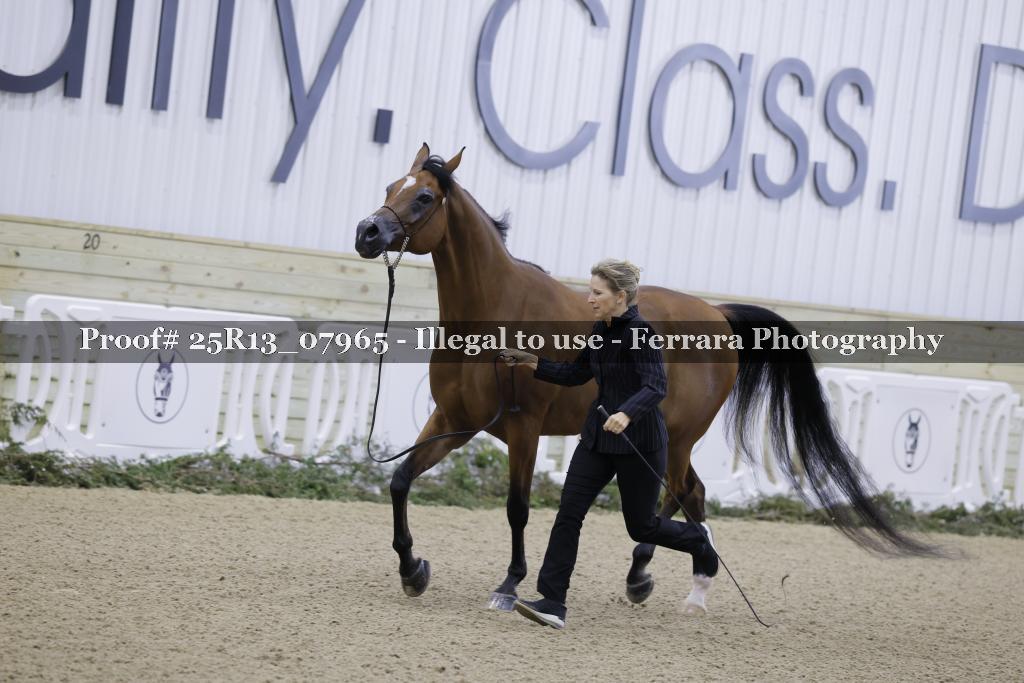 Proof 25R13_07965