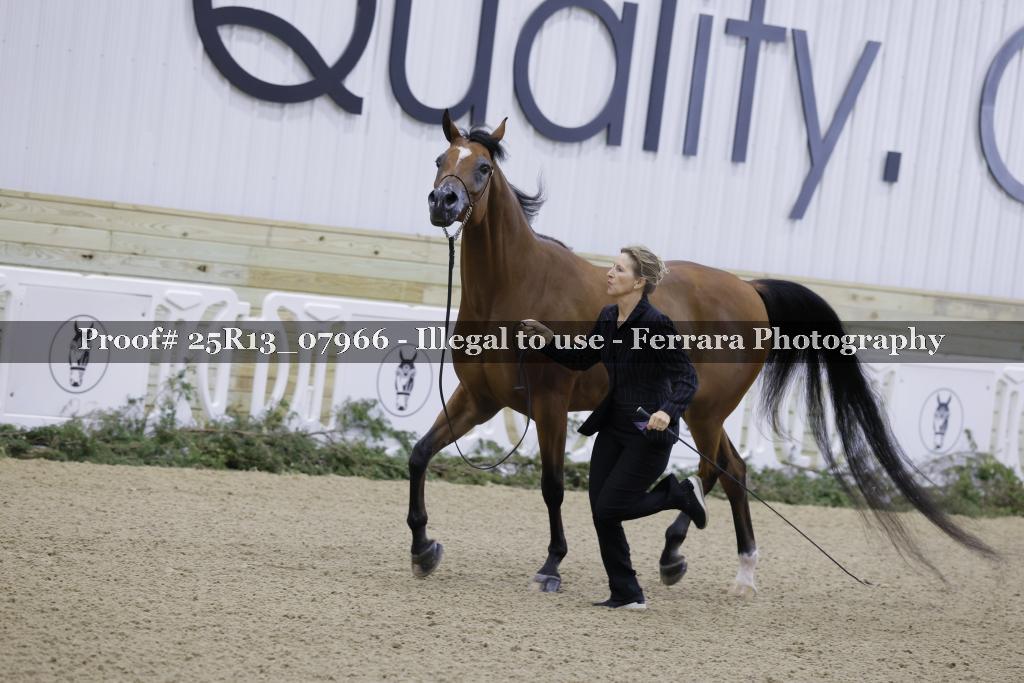 Proof 25R13_07966