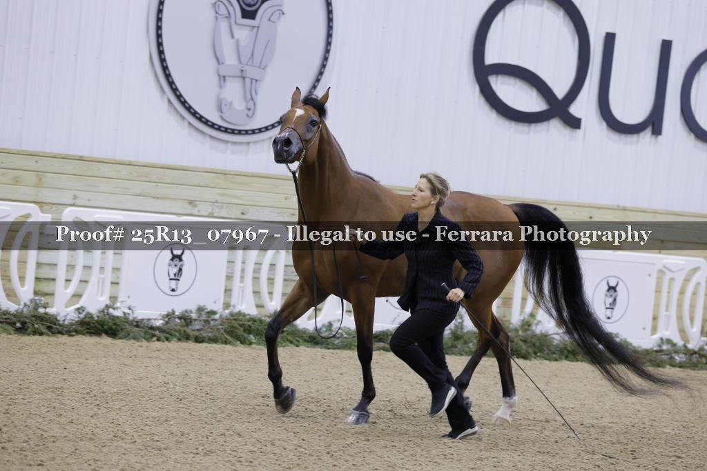 Proof 25R13_07967