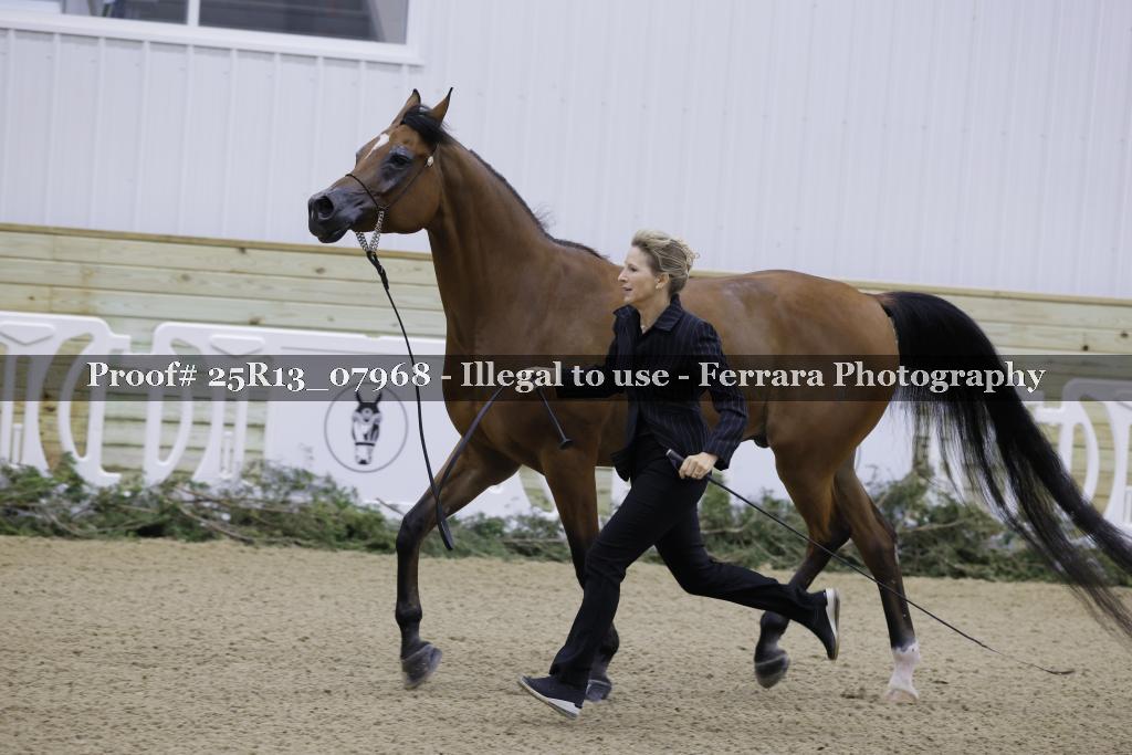 Proof 25R13_07968