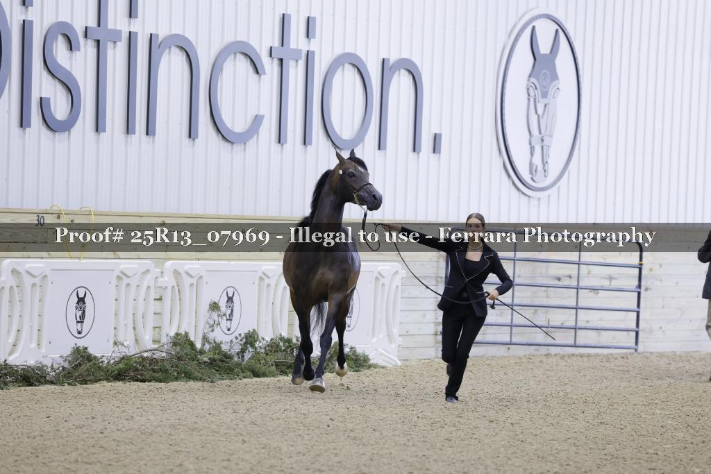 Proof 25R13_07969
