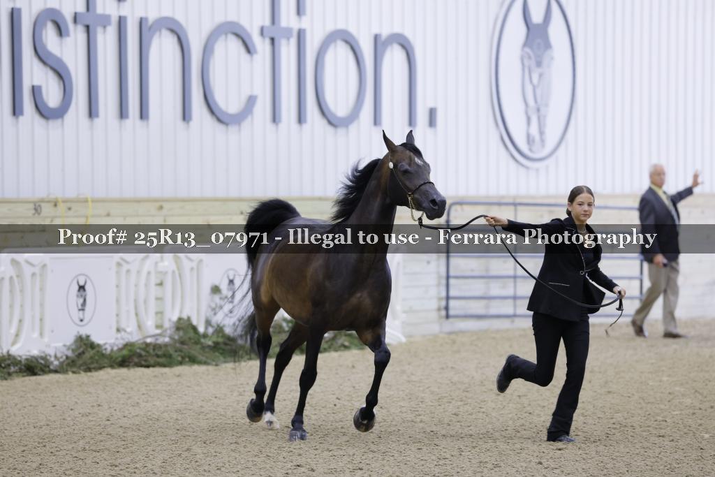 Proof 25R13_07971