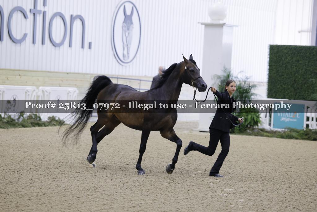 Proof 25R13_07972