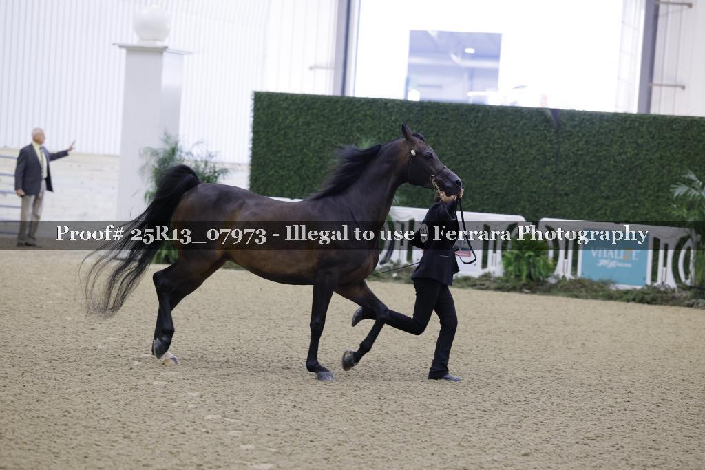 Proof 25R13_07973