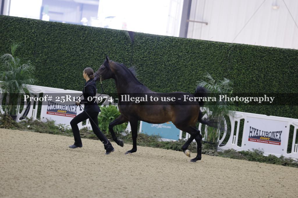 Proof 25R13_07974