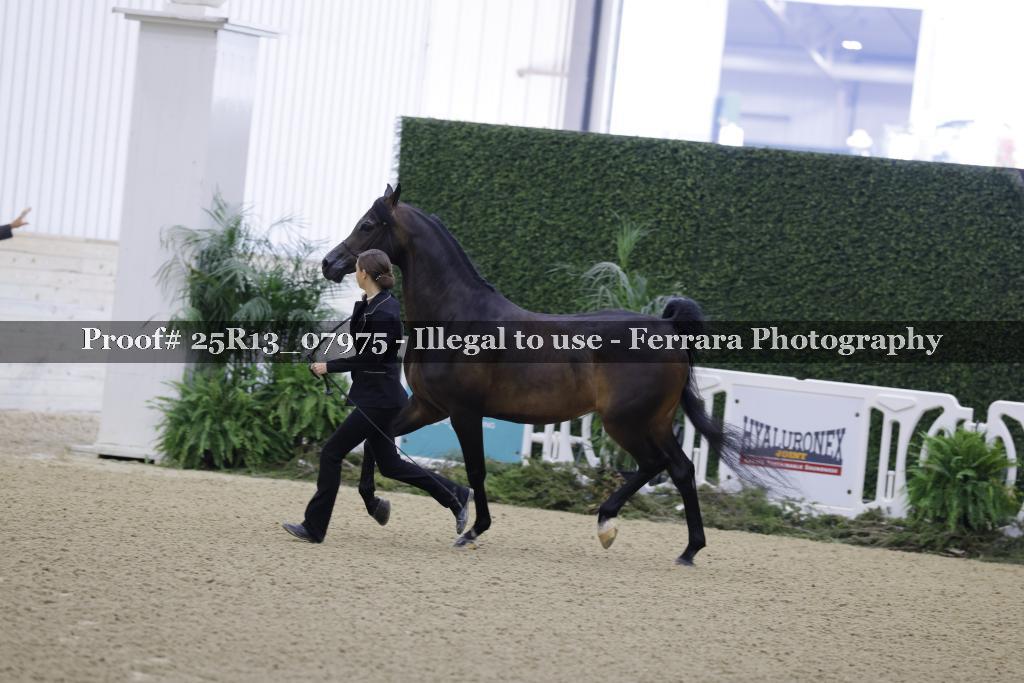 Proof 25R13_07975