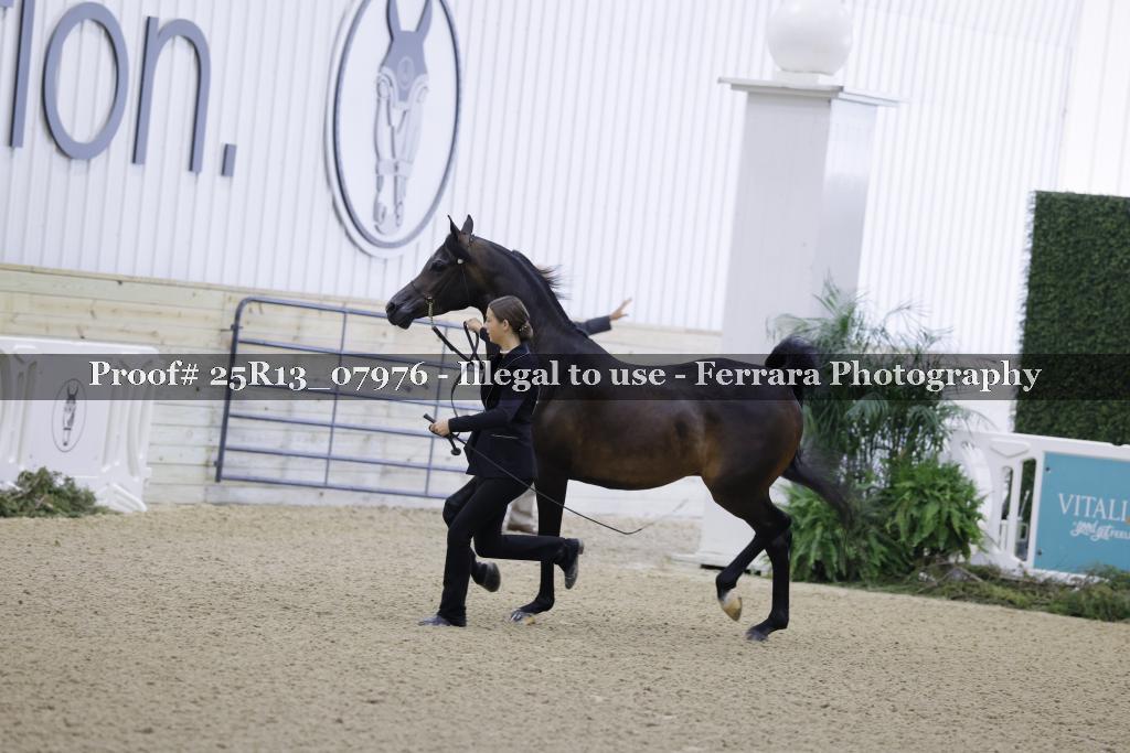 Proof 25R13_07976