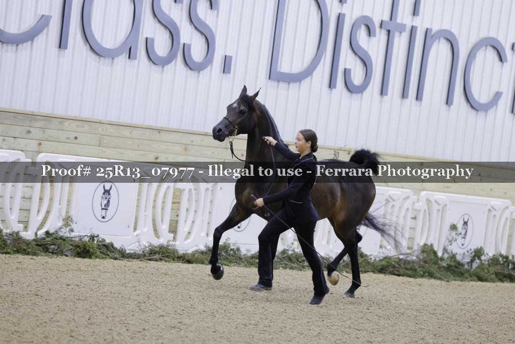 Proof 25R13_07977