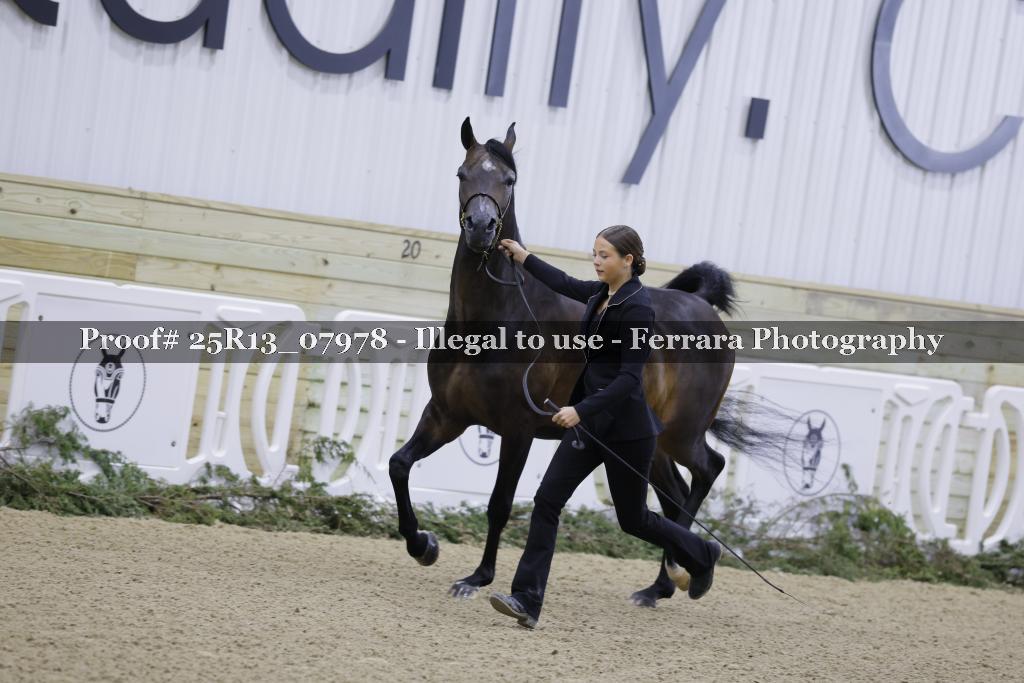 Proof 25R13_07978