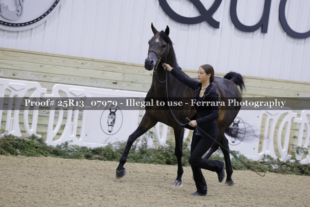 Proof 25R13_07979