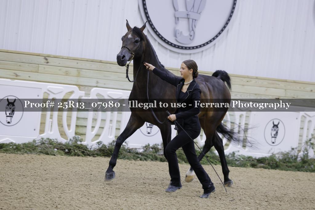 Proof 25R13_07980