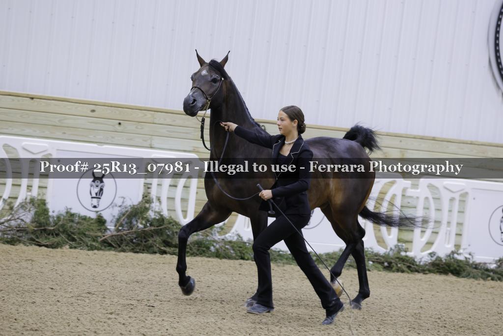 Proof 25R13_07981