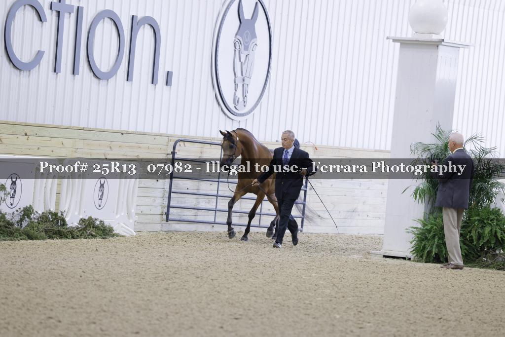 Proof 25R13_07982