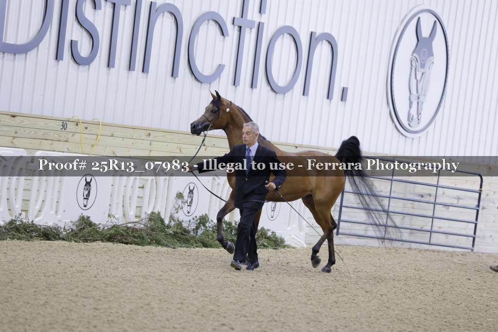 Proof 25R13_07983