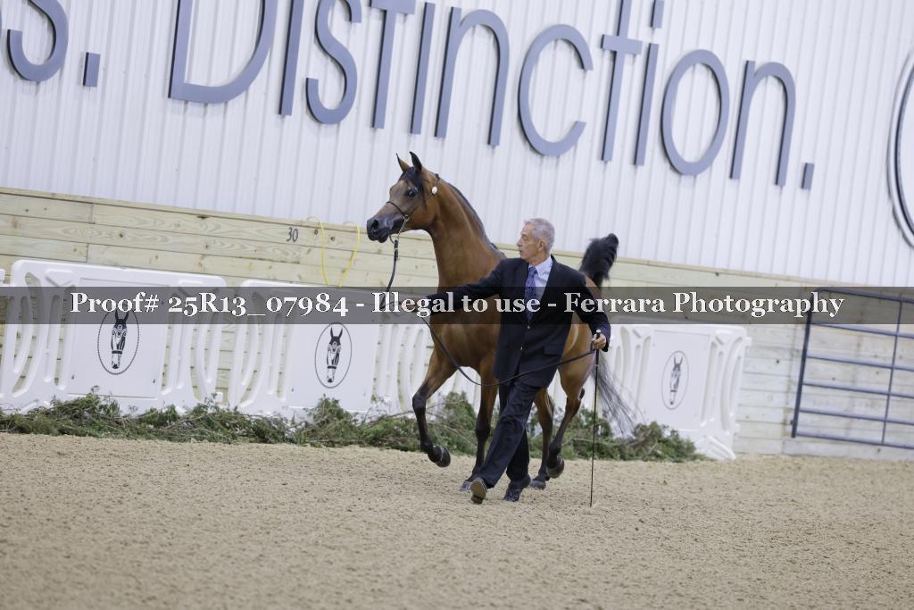 Proof 25R13_07984