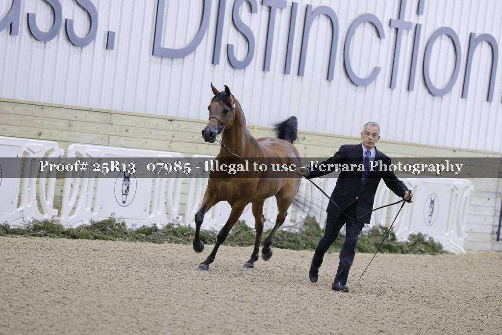 Proof 25R13_07985