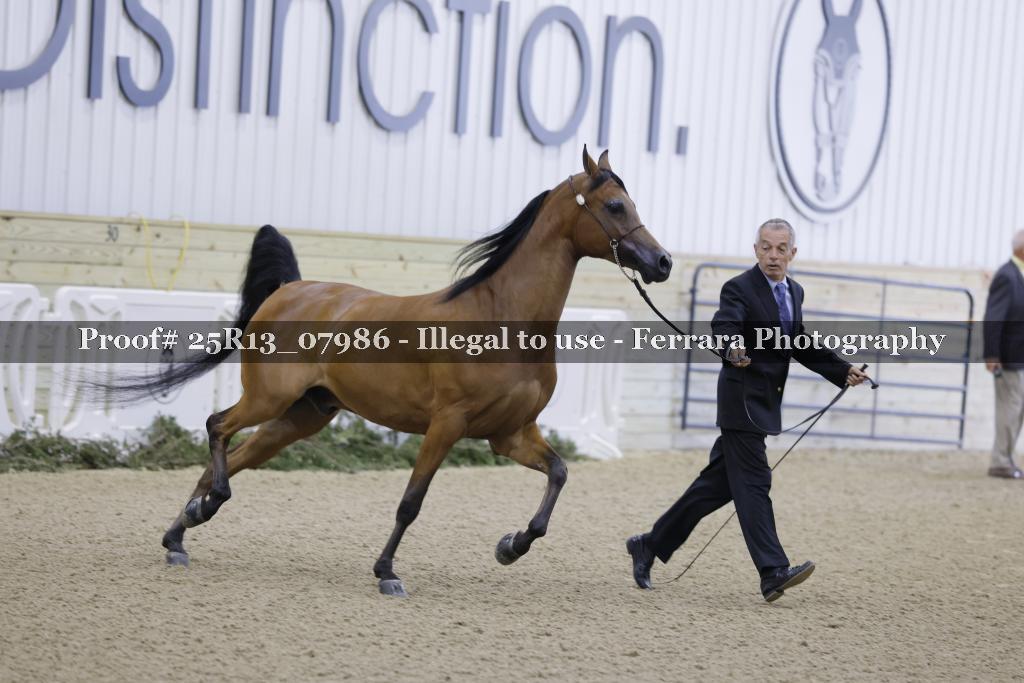 Proof 25R13_07986