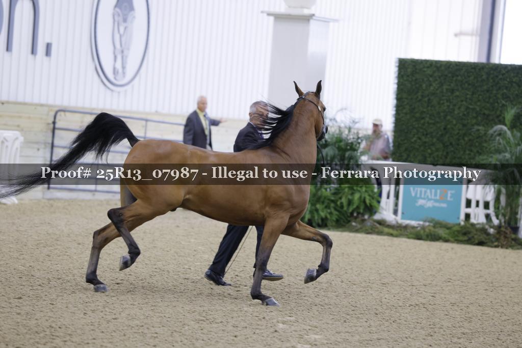 Proof 25R13_07987