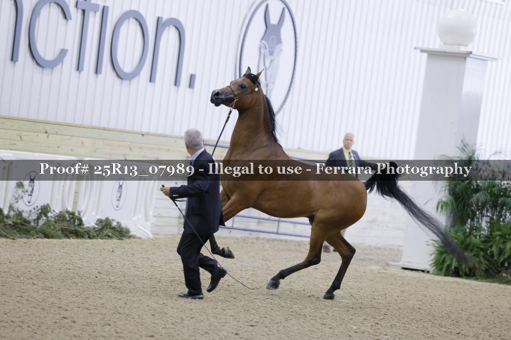 Proof 25R13_07989