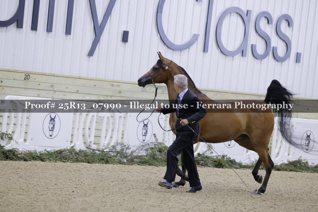 Proof 25R13_07990
