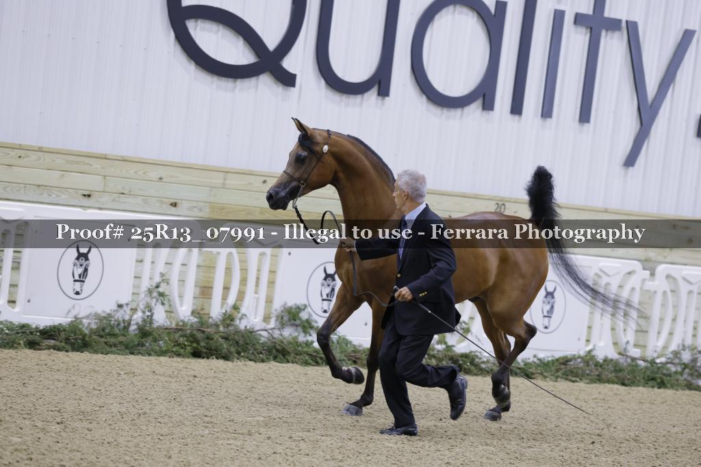 Proof 25R13_07991