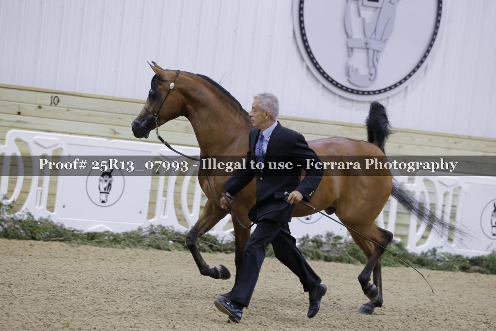 Proof 25R13_07993